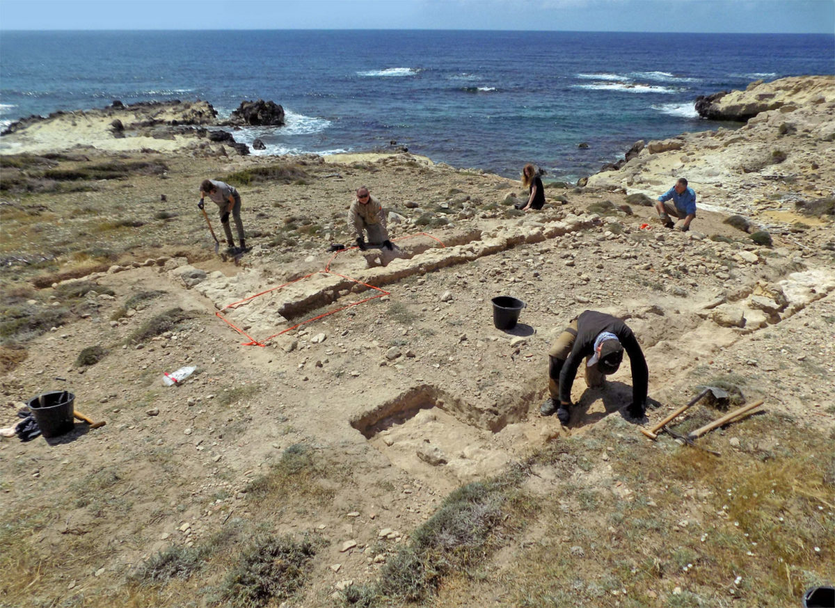 View of the excavation site. 