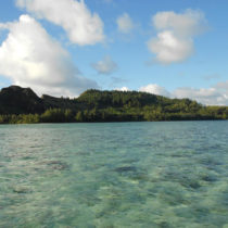 Pacific rats trace 2,000 years of human impact on island ecosystems