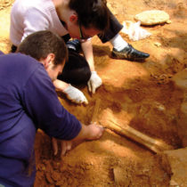 The Athenian and Macedonian News Agency at the paleontological excavation at Pikermi