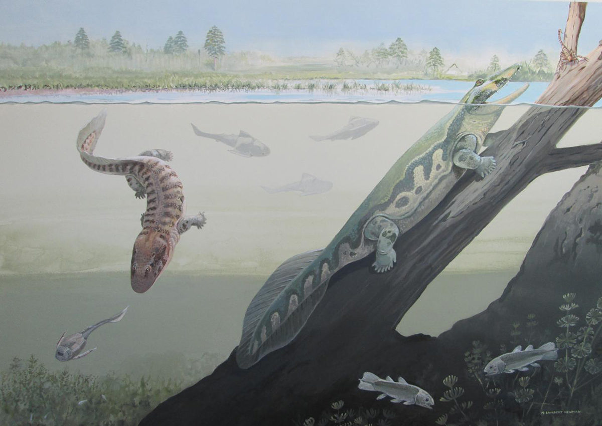 Reconstruction of Waterloo Farm by Maggie Newman including Tutusius and Umzantsia.
Credit: Maggie Newman