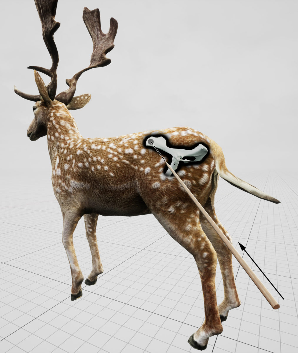 Estimated impact angle shown in relation to a standing fallow deer for the hunting lesion observed in the pelvis of an extinct fallow deer, killed by Neandertals 120,000 years ago on a lake shore close to current-day Halle (Germany). Credit: Eduard Pop, MONREPOS Archaeological Research Centre and Museum for Human Behavioural Evolution, Römisch-Germanisches Zentralmuseum, Leibniz-Researchinstitute for Archaeology