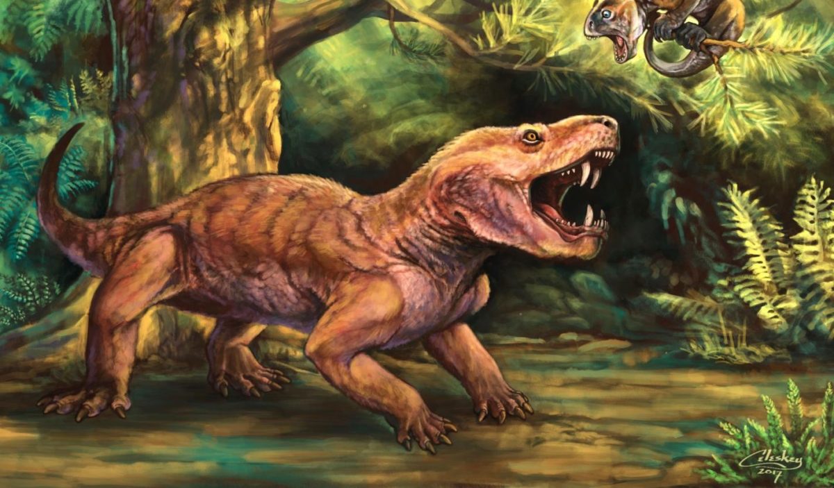 The therocephalian Gorynychus masyutinae, top predator of the Kotelnich fossil assemblage. Credit : Matt Celeskey