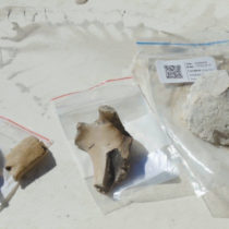 Old Maori village discovered by Otago archaeologists