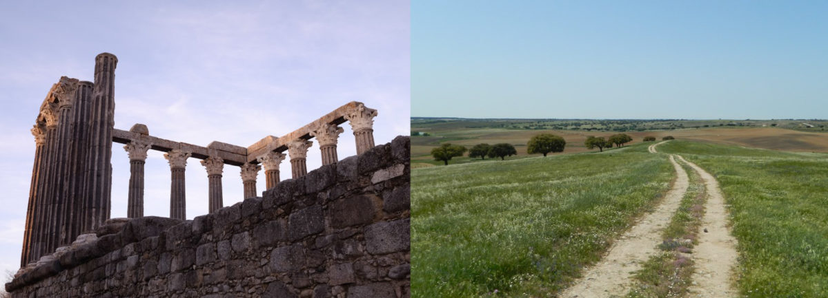 The Archaeology of Roman Portugal in its Western Mediterranean context