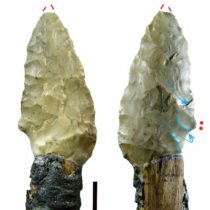 Stone tools from ancient mummy reveal how Copper Age mountain people lived