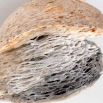 Large-scale whaling in north Scandinavia may date back to 6th century