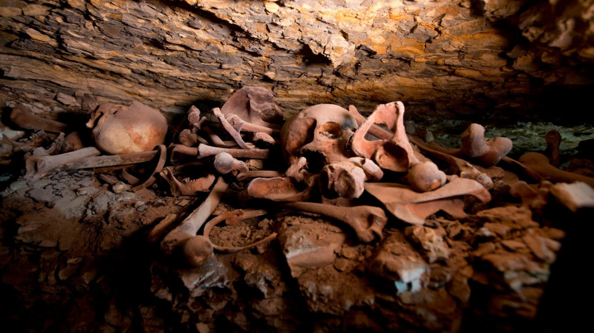 Recently discovered skulls and bones are seen at the mummification workshop. Credit: Amr Nabil/AP
