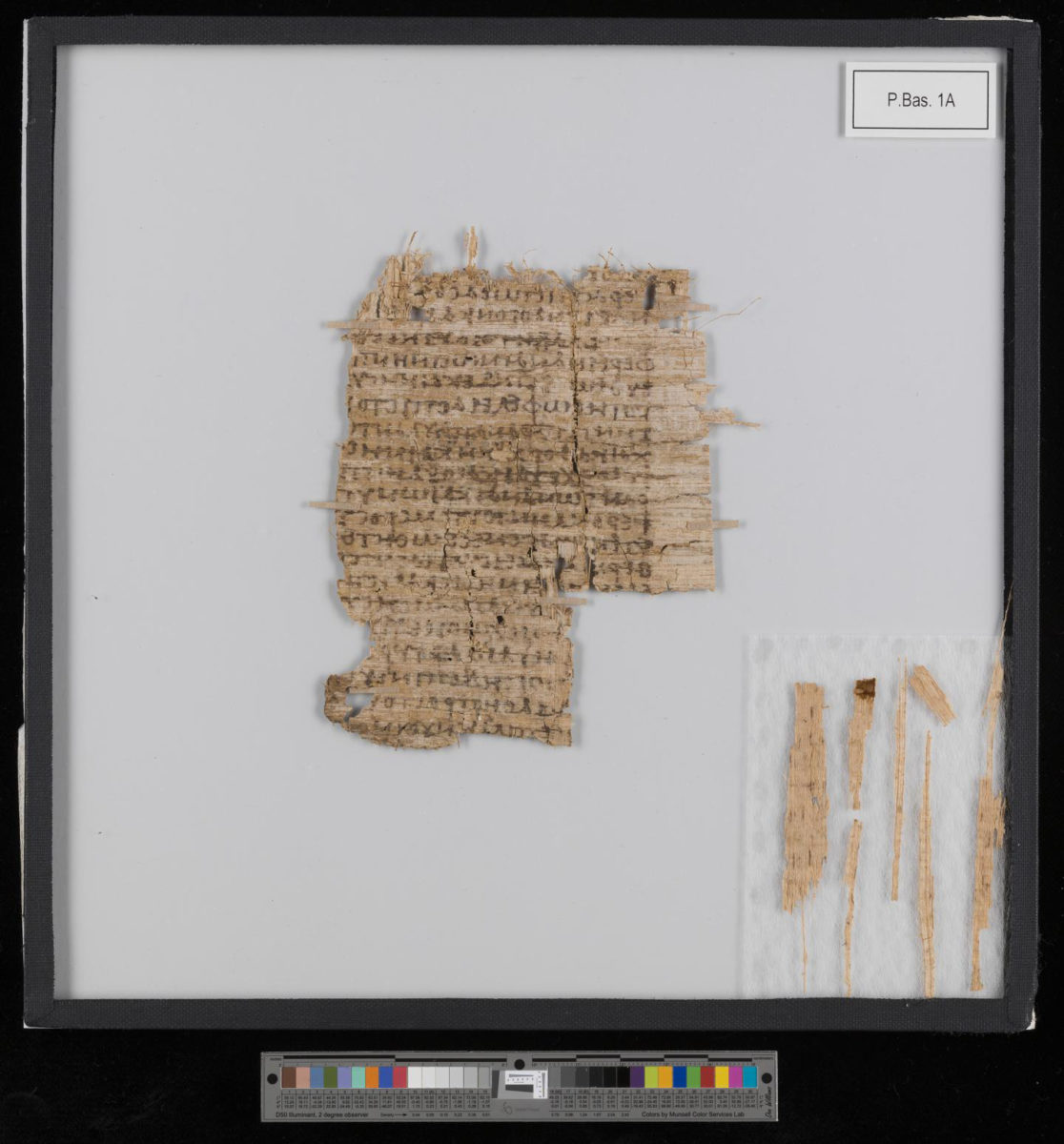 After conservation: cleaned, smoothed and consolidated. A specialized papyrus conservator was brought to Basel to make this 2,000-year-old document legible again. Credit: University of Basel