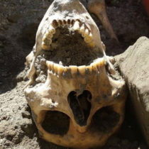 Pompeii: Head of the fugitive discovered