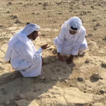 Unknown petroglyph site discovered