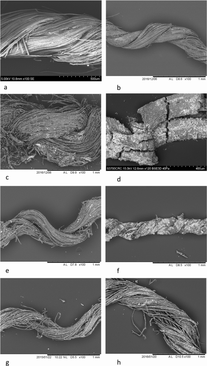 Micrographs of textiles showing the plied appearance of the threads: (a) Tarkhan, Egypt; (b) Cave of the Warrior, Israel; (c) Lucone di Polpennazze, Italy; (d) Over Barrow, UK; (e) El Oficio, Spain; (f) Must Farm, UK; (g) Tarquinia, Italy; (h) Corinth, Greece. Image Credit: M. Gleba, S. Harris / Archaeological and Anthropological Sciences.