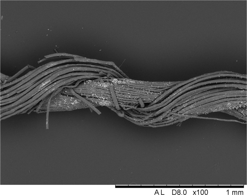 SEM micrograph of a weft thread showing a splice in one of the single-thread elements, Cave of the Warrior, Israel. Image Credit: M. Gleba, S. Harris / Archaeological and Anthropological Sciences.