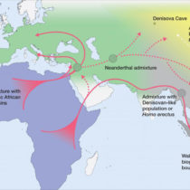 How did our species become the last surviving hominin on the planet?