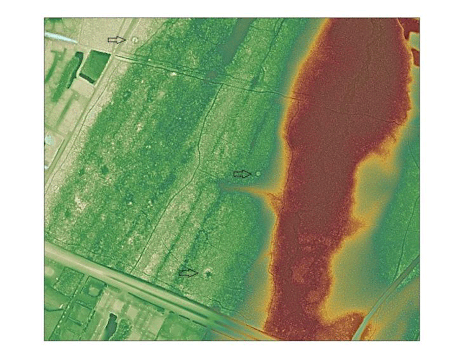 The team's approach successfully identified ring and mound sites (indicated by arrows) within a stretch of forest that had not been previously surveyed by archaeologists. Image Credit: Carl Lipo.