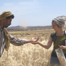 Archaeologists discover bread that predates agriculture by 4,000 years