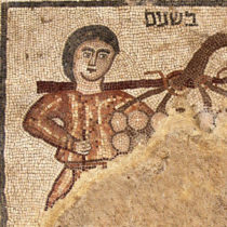 Discoveries by archaeology team give new clues on life in ancient Jewish village