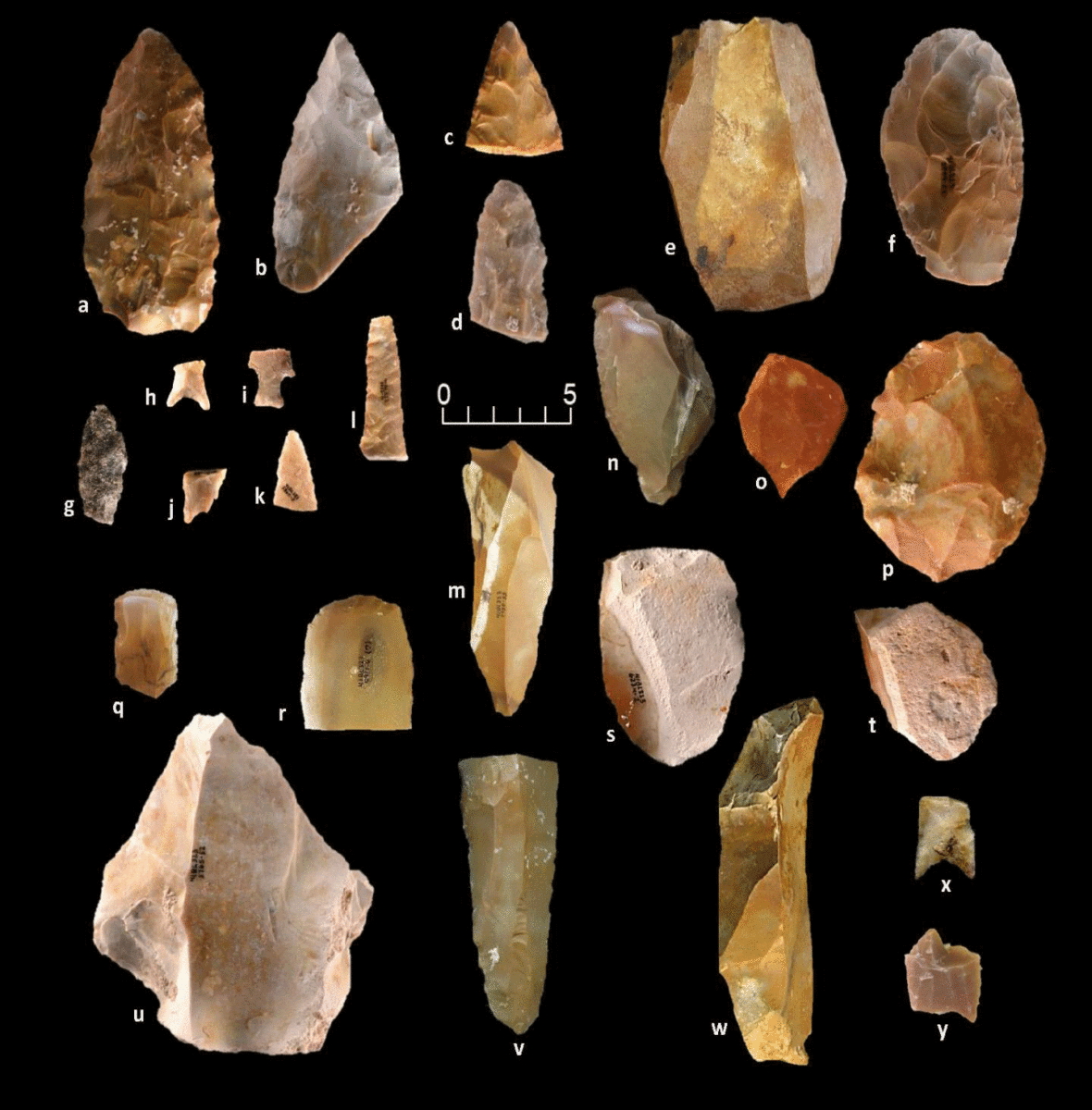 Stone tool assemblage recovered from the Gault Site. Photo Credit: N Velchoff, The Gault School of Archaeological Research.