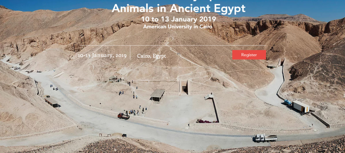 Homepage image of the BAE-ISAAE 2019 Joint Conference's site.