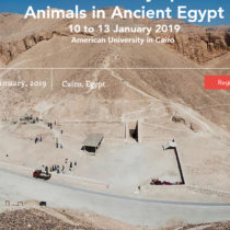 Bioarchaeology and Animals in Ancient Egypt