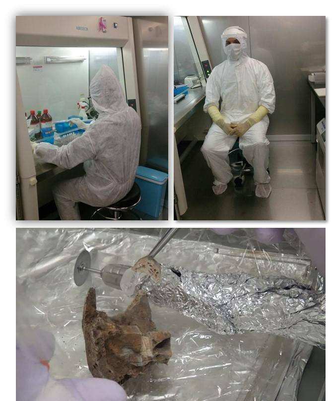 These are experiments concerning genome analysis of ancient skeleton. Credit: Kanazawa University