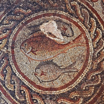 Another 1,700-year-old mosaic has been discovered in Israel