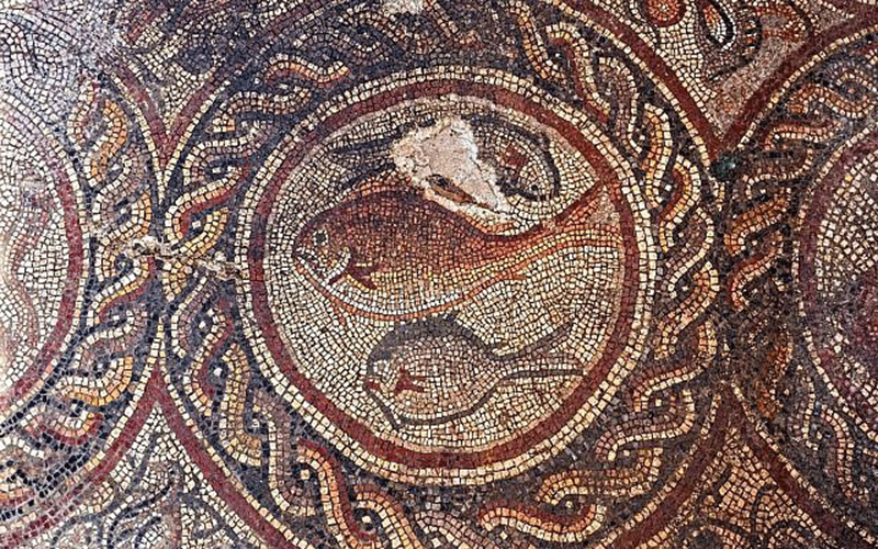 Animal figures in the newly exposed Lod mosaic. Photo Credit: Asaf Peretz, IAA/ The Times of Israel.