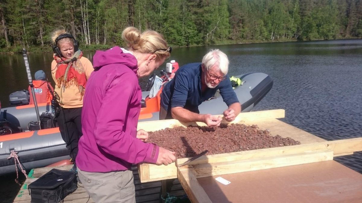 Satu Koivisto and Jørgen Dencker examining bottom sediments. Credit Photo: Eveliina Salo/Nordic Maritime Group.