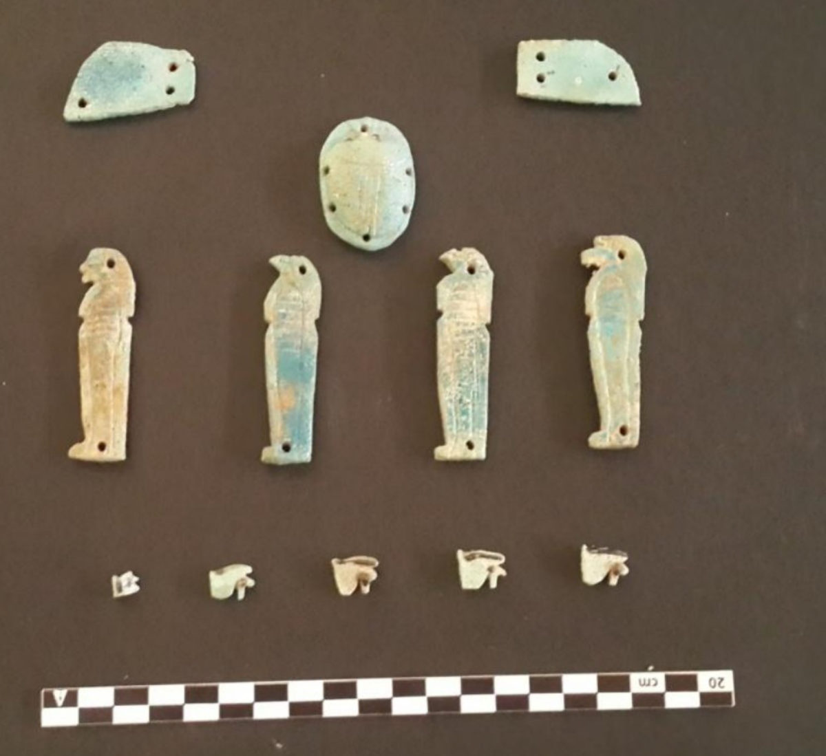One of the recent finds in the Aswan area.