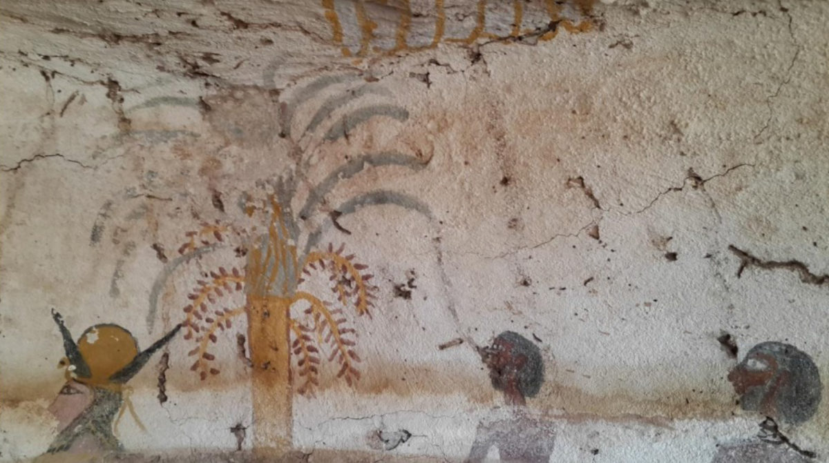 One of the recent finds in the Aswan area.