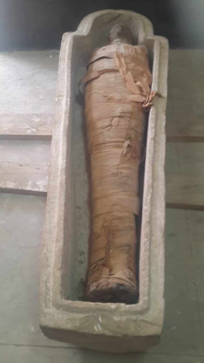 One of the recent finds in the Aswan area.