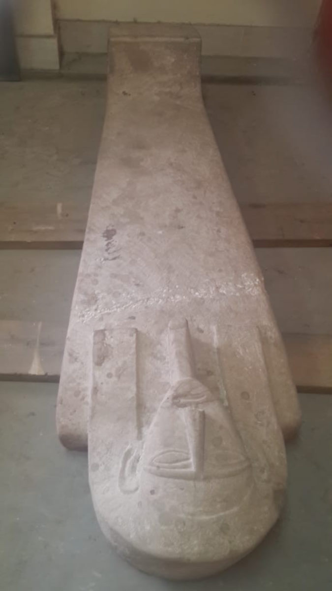 One of the recent finds in the Aswan area.