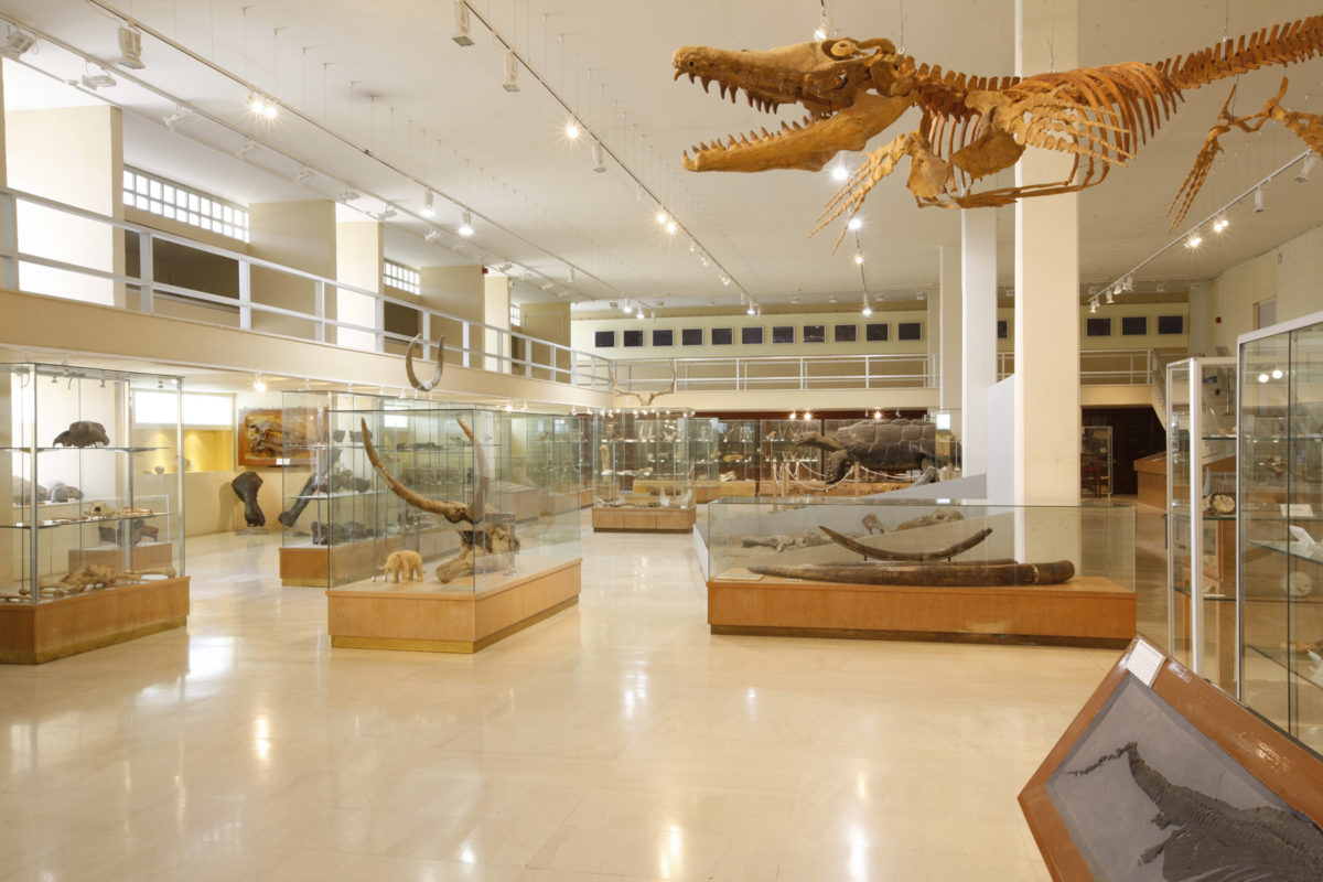Overall view of the Museum of Paleontology and Geology (photo: AMNA/Vasileios Karakitsios) 