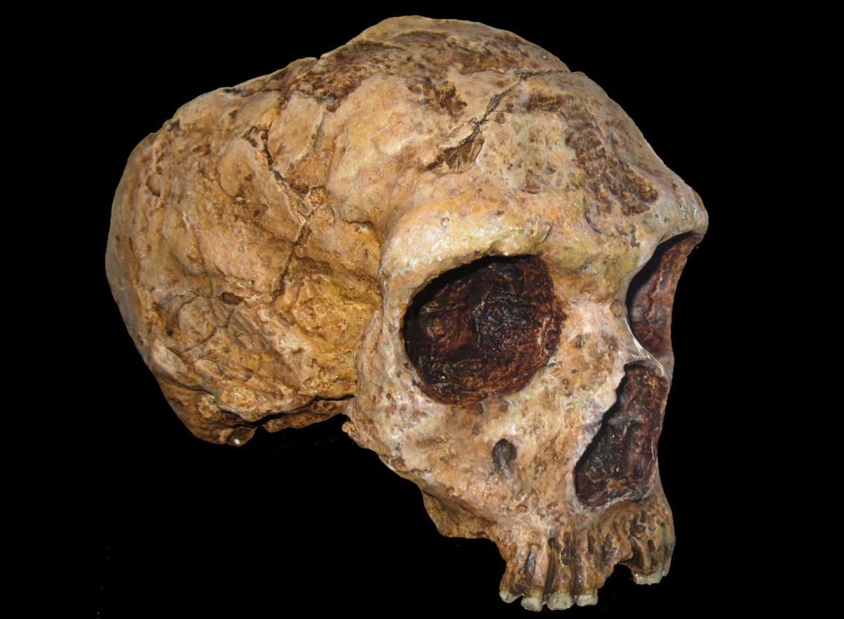 Food sources of Neanderthals would naturally become scarce during colder periods, making them more vulnerable to rapid environmental change. Image Credit: Anagoria.