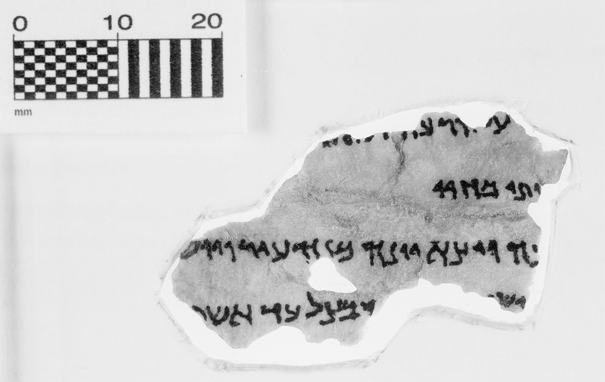 Dead Sea scrolls fragments. Credit: Museum of the Bible