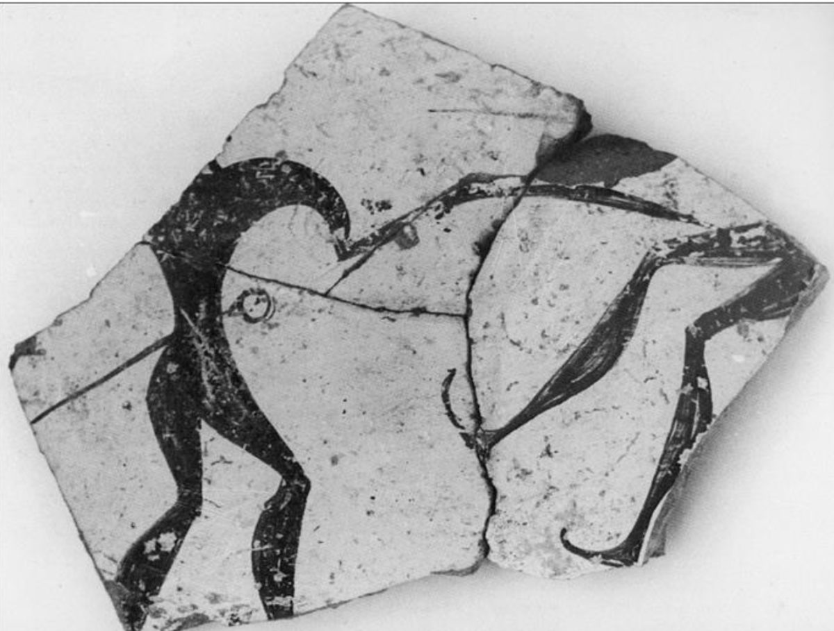 In this lecture the importance of warriors will be discussed in a
broader context, as well as the impact it has on
theories related with the specific area. 
