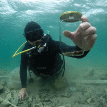 New Middle Bronze Age discoveries in Croatia