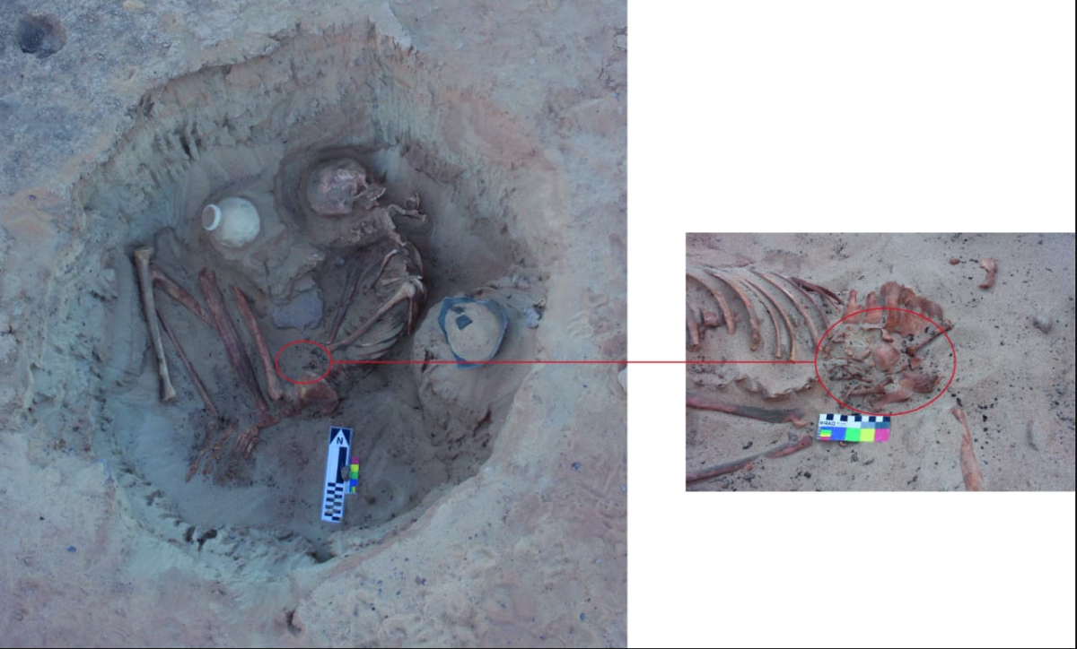 The mother’s skeleton was resting in a contracted position and
was wrapped in a leather shroud.