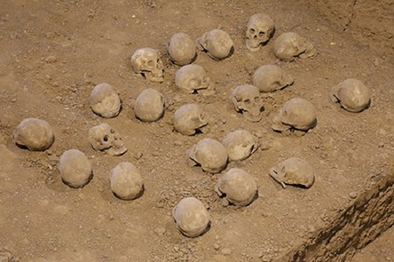 Skulls unearthed at the Ruins of Yin in Anyang, Henan Province. Photo Credit: IC/TANN.