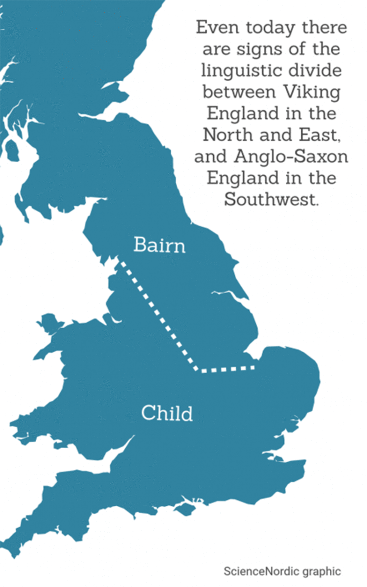 The Viking's did not irradiate Old English, a sign of their limited impact compared to the earlier Anglo Saxon invasion. But remnants of their influence are still visible in modern English. For example, north and east of the line that demarcates the Danelaw, you are likely to hear bairn instead of child, which is more closely related to the Danish barn. Image Credit: ScienceNordic, based on an original in: Word Maps. A dialect Atlas of England.