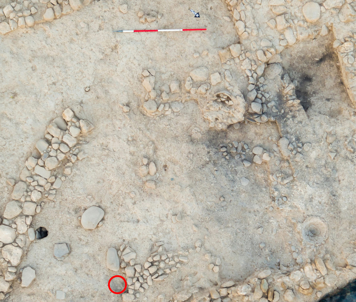 Figure 1: Area P/B2 showing location of ashy area (upper right) and ground stone installations and post hole (lower left). The position of Red Polished IV bowl (KS651) prior to removal is shown in the red circle.