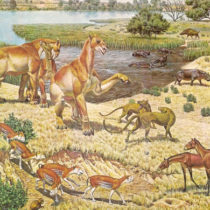 Some prehistoric horses were homebodies