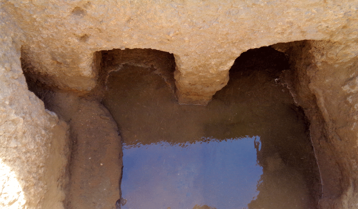 Water in the fully excavated chamber of the Hellenistic gate. On the right, the shape of the first phase of the well, viewed from the north. Photo Credit: S.E. Sidebotham/Antiquity.