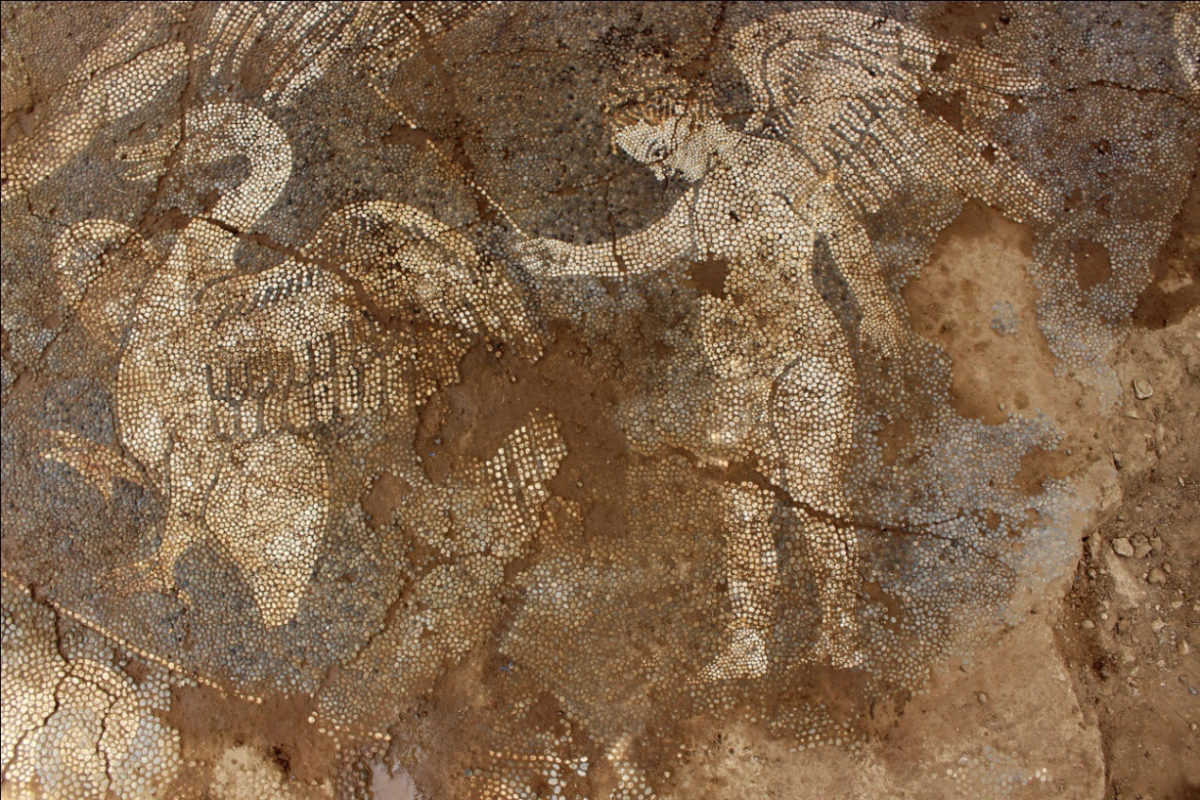 Part of the pebbled floor discovered in the town of Arta in August 2018.