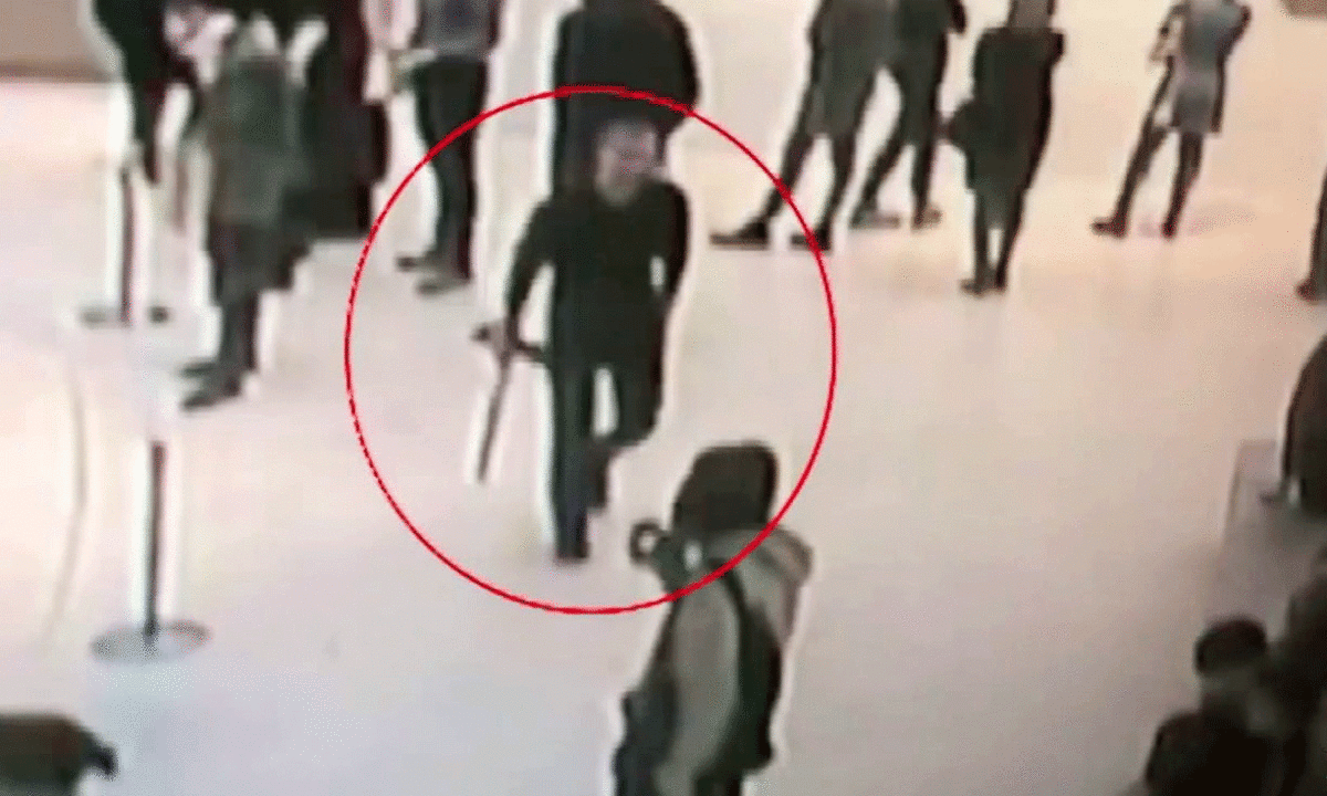Gallery patrons initially mistook the man for an employee. Photo Credit: Tass/The Guardian.
