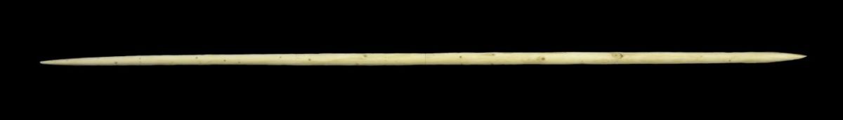 This is a replica spear produced by Owen O'Donnell, an alumnus of UCL Institute of Archaeology.
Credit: Annemieke Milks (UCL)