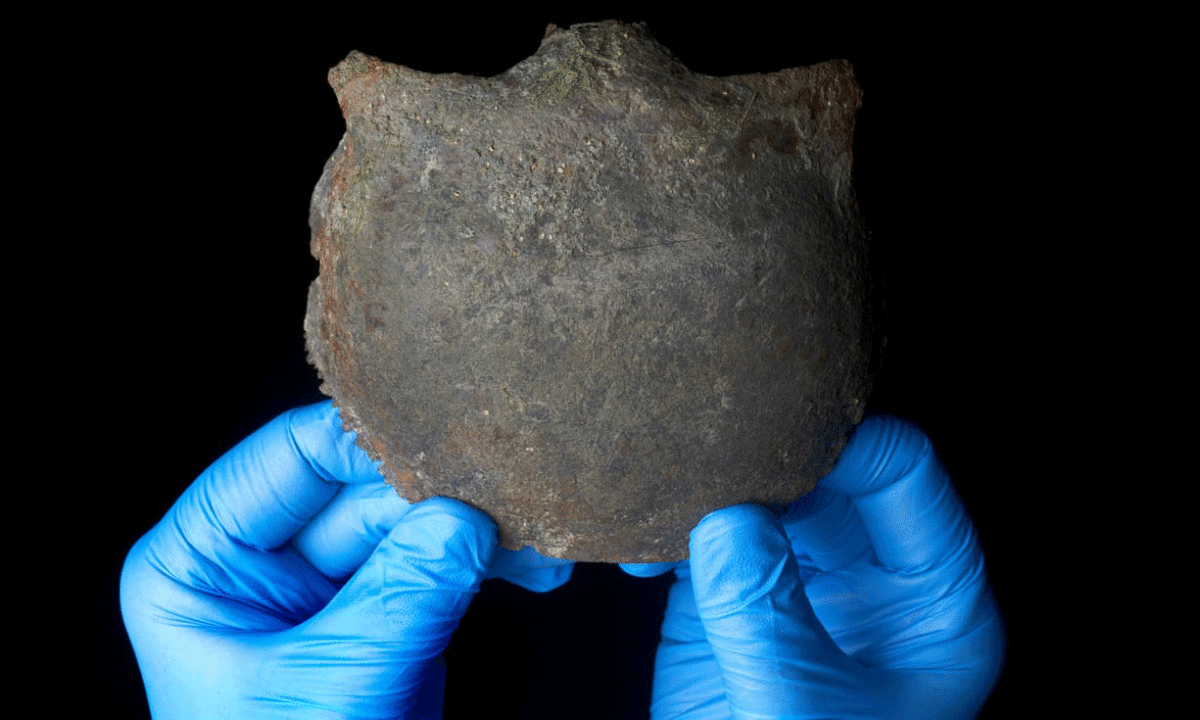 Frontal bone of a neolithic skull dating from 3,600BC. Photo Credit: Museum of London/The Guardian.