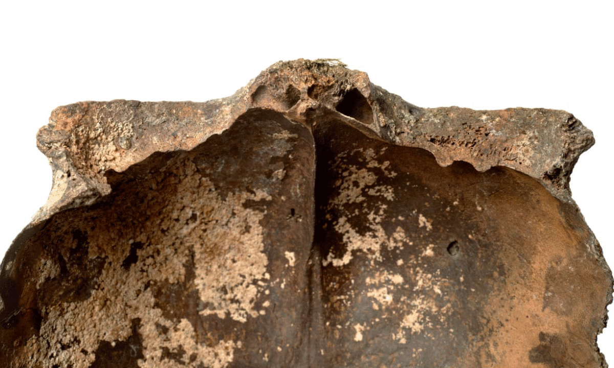 The neolithic skull gives us so much insight into this poorly understood time period for London, says Dr Rebecca Redfern. Photo Credit: Museum of London/The Guardian.