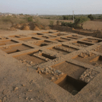Excavations offer insight into early Harappan phase burial customs