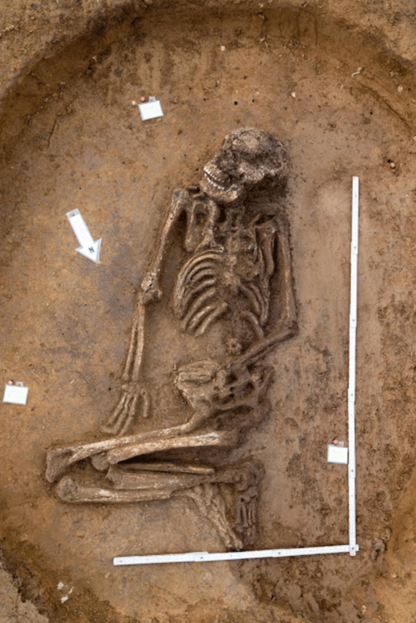 The Middle Neolithic skeleton named Fred. Photo Credit: Daniel Karmann/dpa/TANN.
