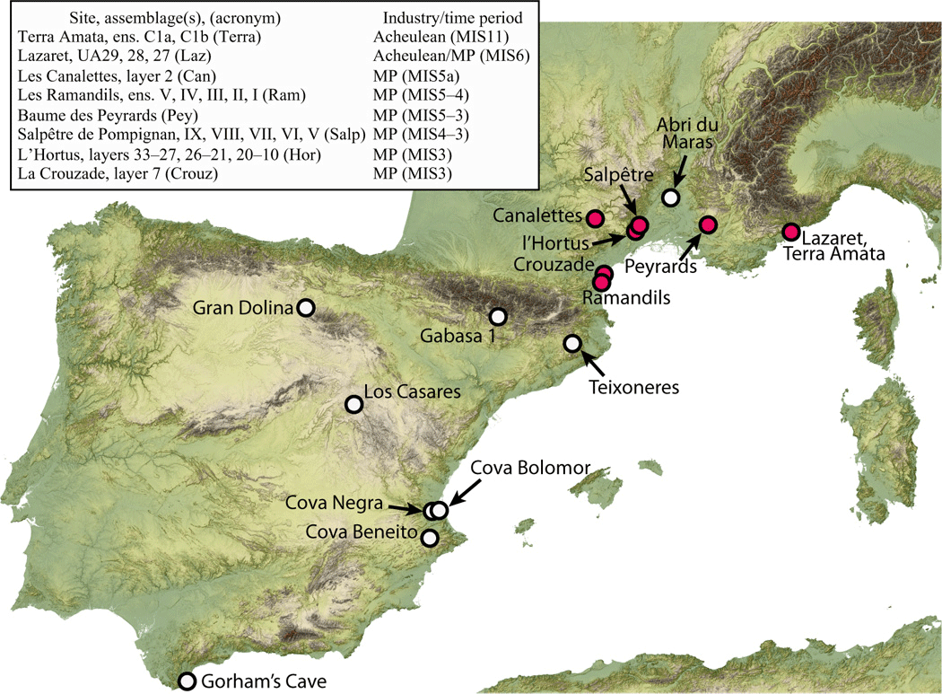 Acheulean/Middle Paleolithic sites included in the study (red circles). White circles denote published Middle Palaeolithic sites with evidence of human exploitation of leporids.
Image Credit: Science Advances.